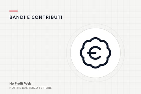 Categoria Bandi e contributi: illustrazione con un simbolo dell'euro